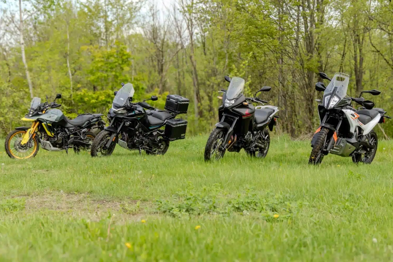 Motosikletle Şile Yolu: İstanbul'un Kaçış Rotası ve Varış Noktanız Lotus Restaurant & Home